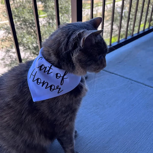 Cat of Honor Wedding Bandana Scarf | Bridal Shower Cat Gift Pet Wedding Accessory Peaceful Pleasures Health and Wellness
