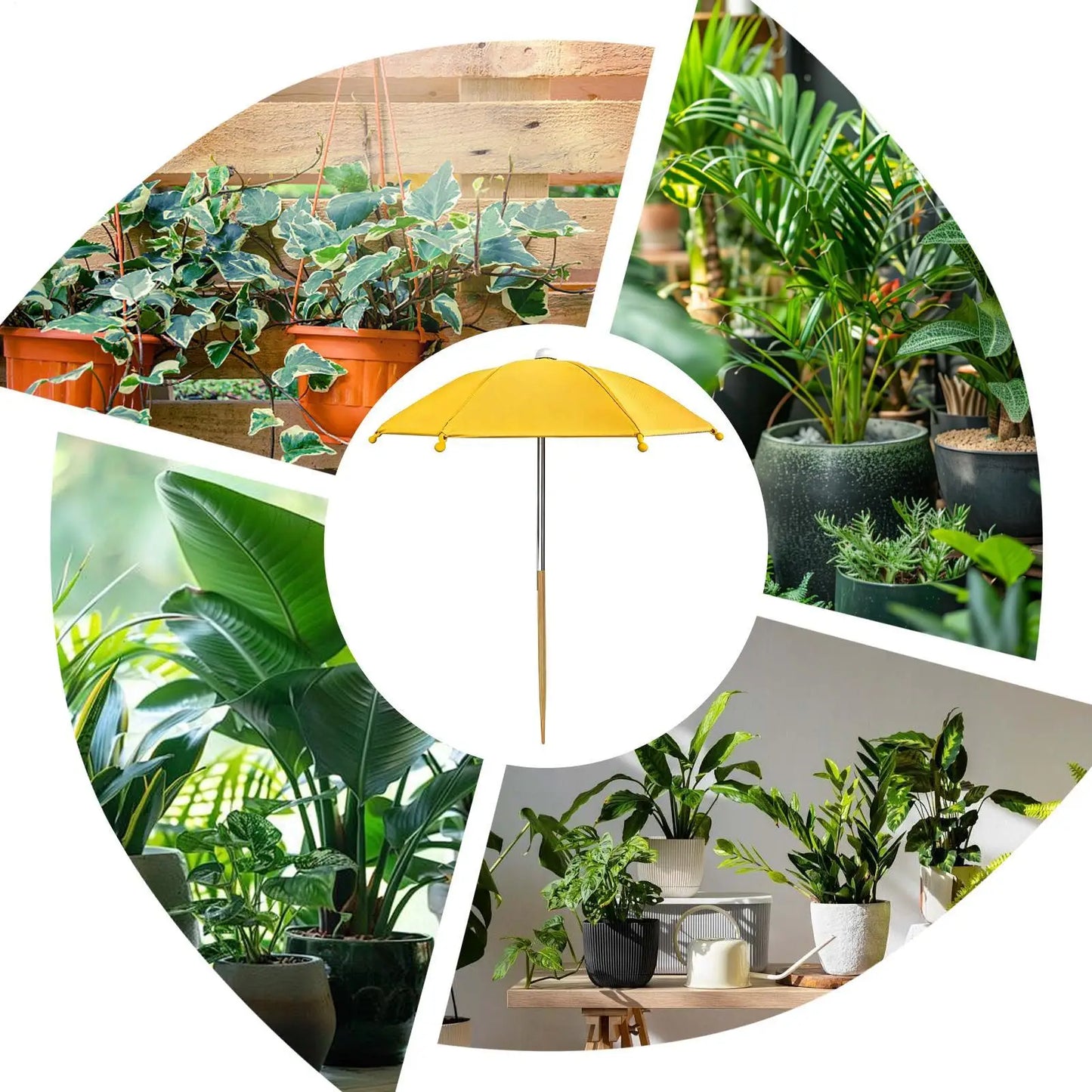 Plant Umbrella for Outdoor Pots | UV-Protective Garden Parasol