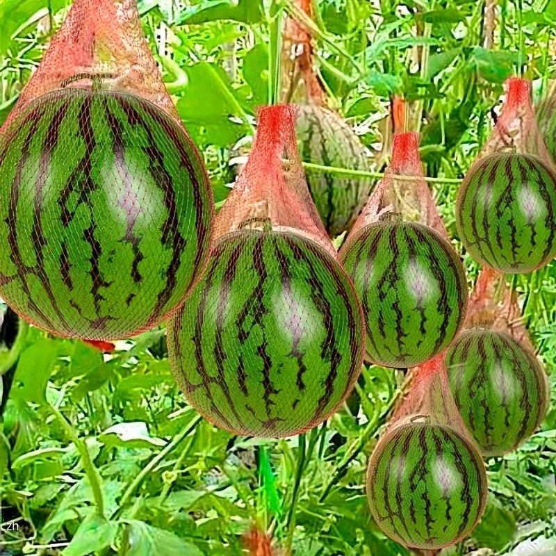 100-Pack Nylon Garden Net Hammock Bags for Vertical Growing