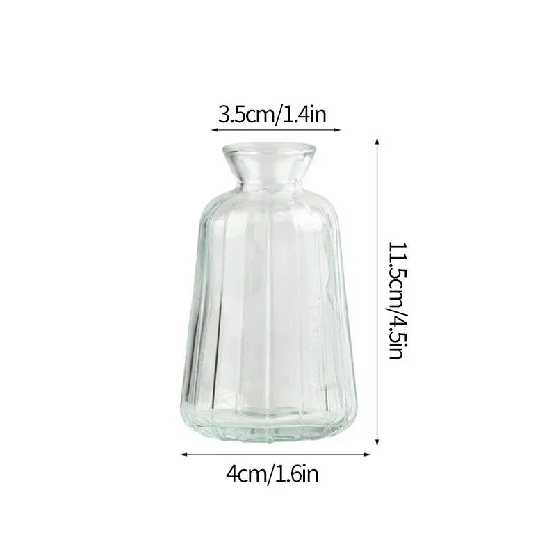 Vintage Transparent Glass Vase | Flower Bottle & Plant Pot