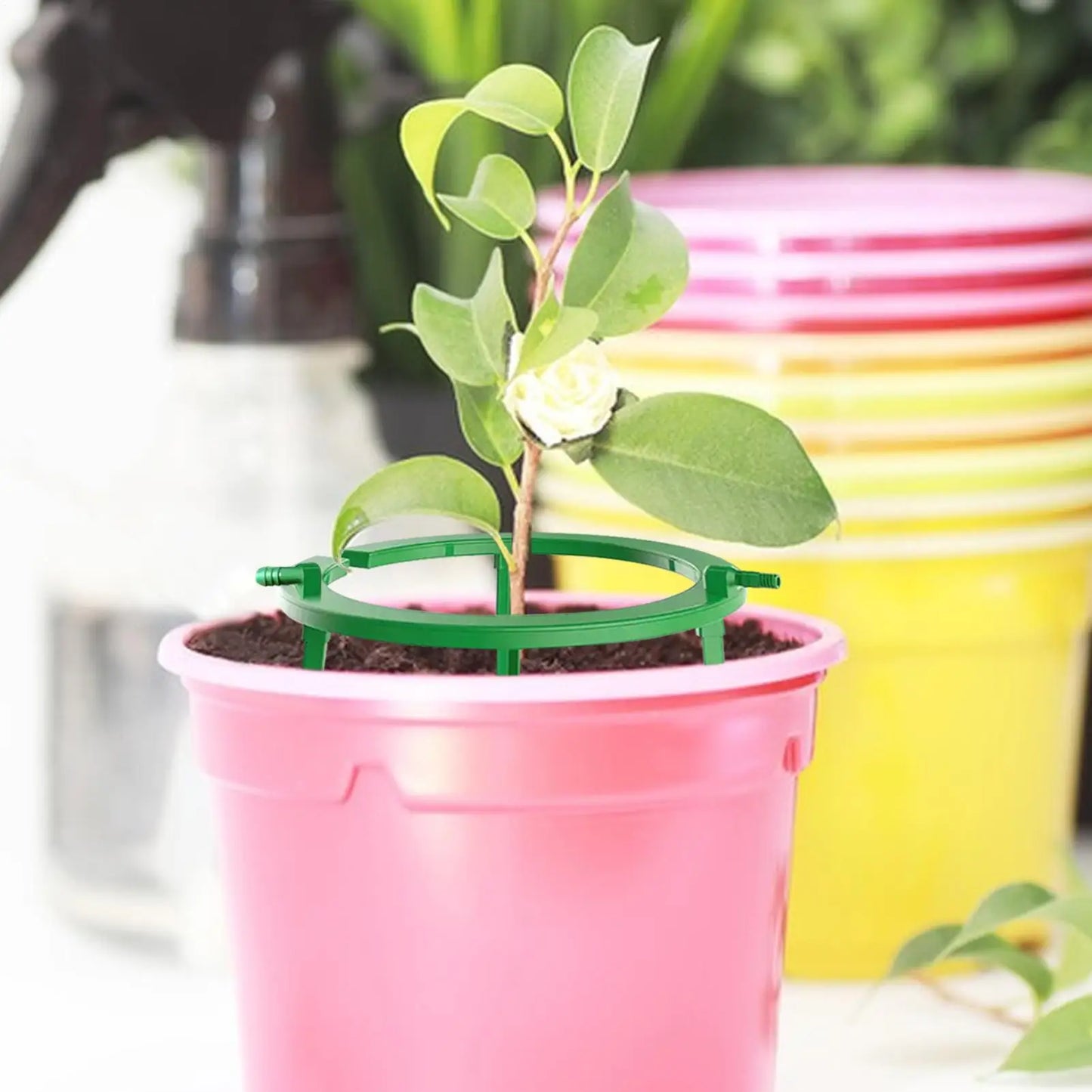 Hydro Halo Plant Drip Irrigation Watering Ring | 5" & 9"