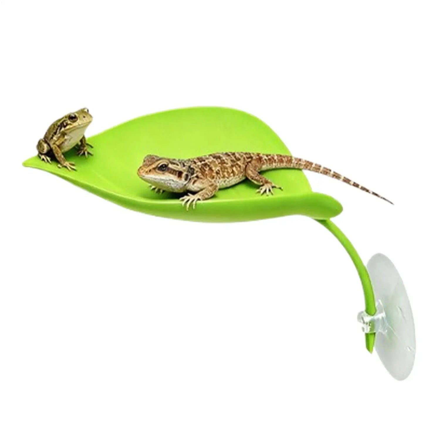 Leaf Suction Cup Basking Shelf for Frogs, Geckos & Reptiles