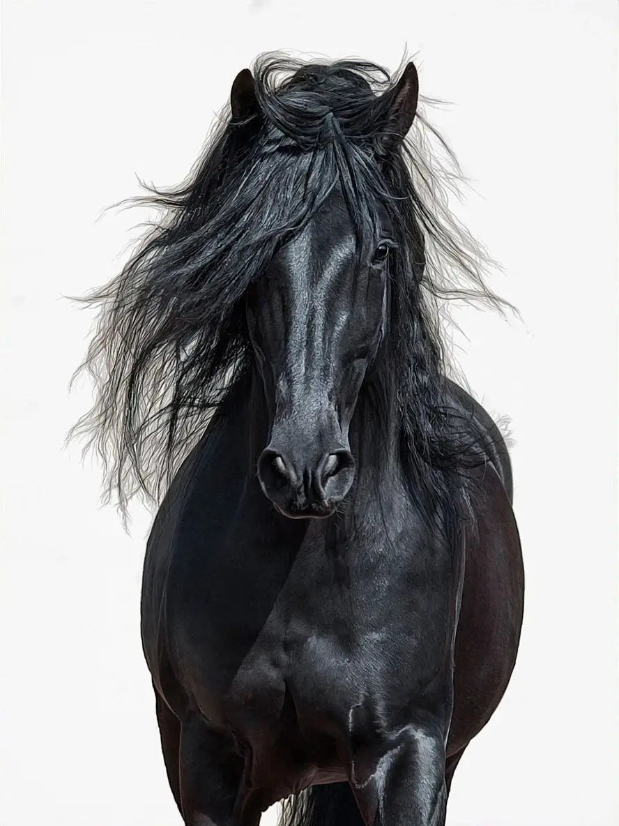 Black and White Horse Portrait Poster Print Canvas Painting Horses Running Animal Wall Picture for Farmhouse Room Home Decor Peaceful Pleasures Health and Wellness