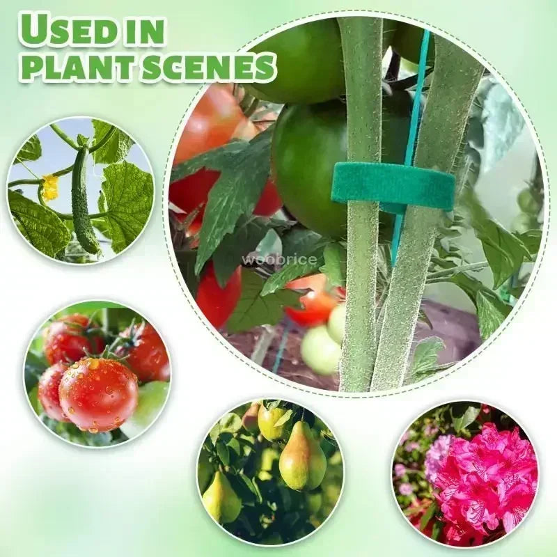 Self-Adhesive Nylon Plant Ties | Reusable Hook & Loop Garden Tape