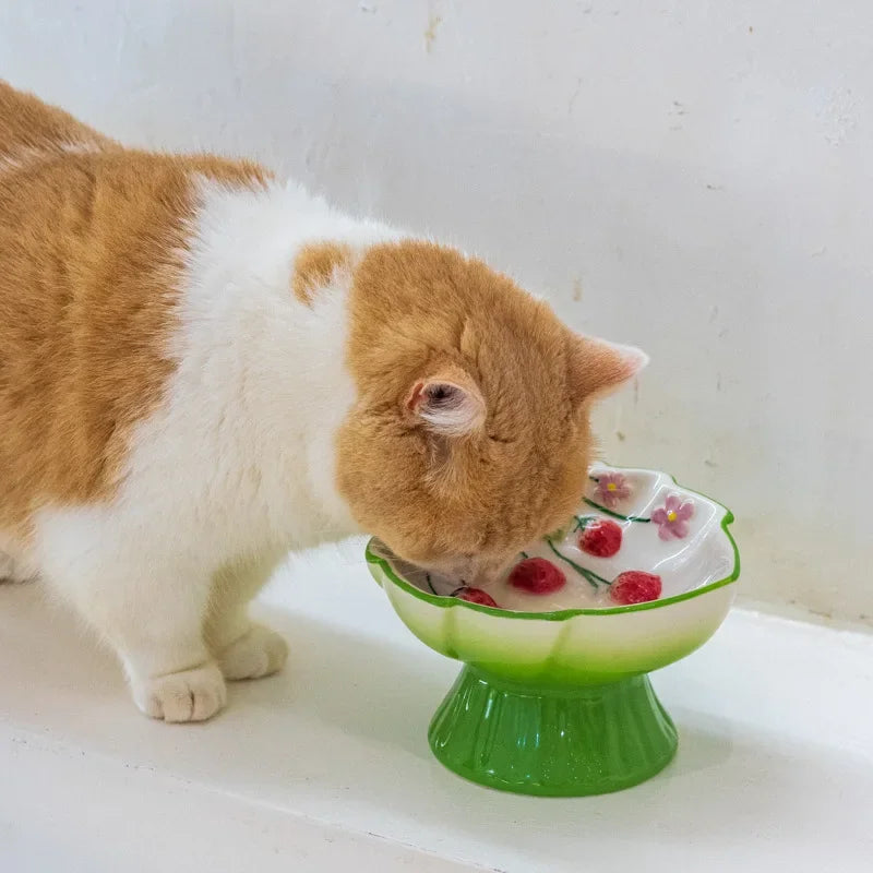 Ceramic Strawberry Slow Feeder Cat Bowl | Elevated Anti-Tip