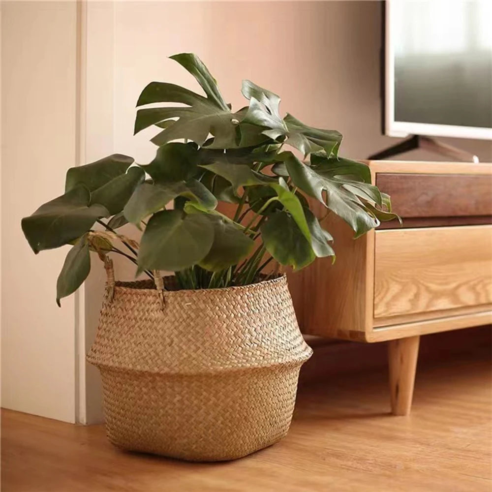 Handwoven Seagrass Plant Basket with Handles | Home Decor
