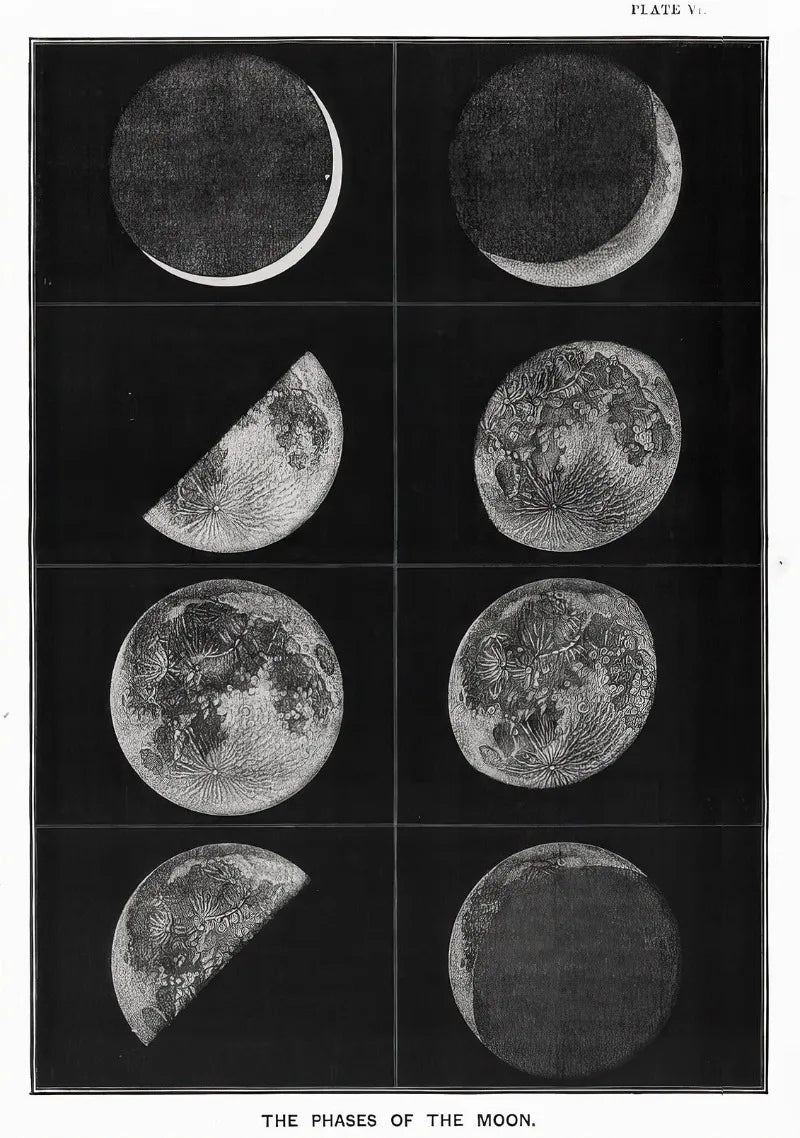 Vintage Space Astronomy Canvas Print | Solar System & Moon Phases Canvas Wall Art Peaceful Pleasures Health and Wellness CJ51899 55x75cm