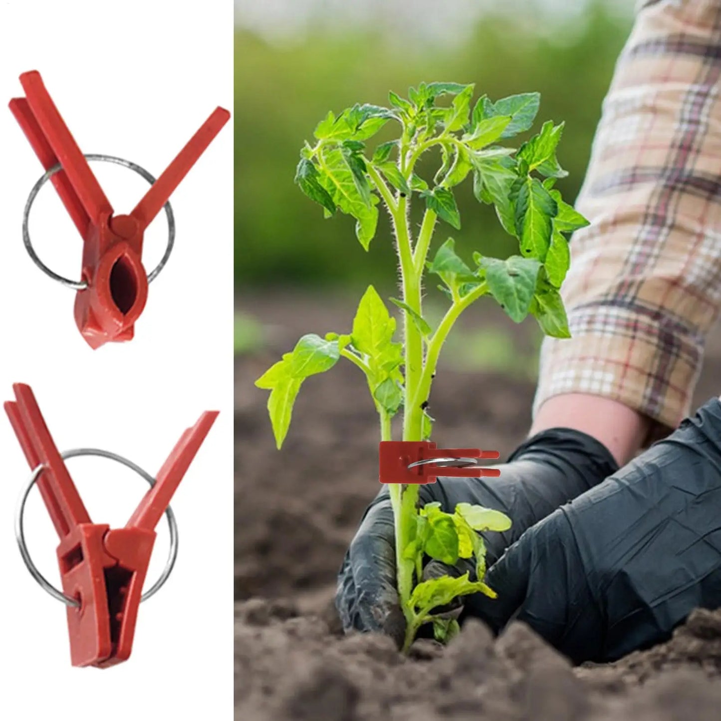 50-Pack Plant Grafting Clips | Vegetable Garden Grafting Tool