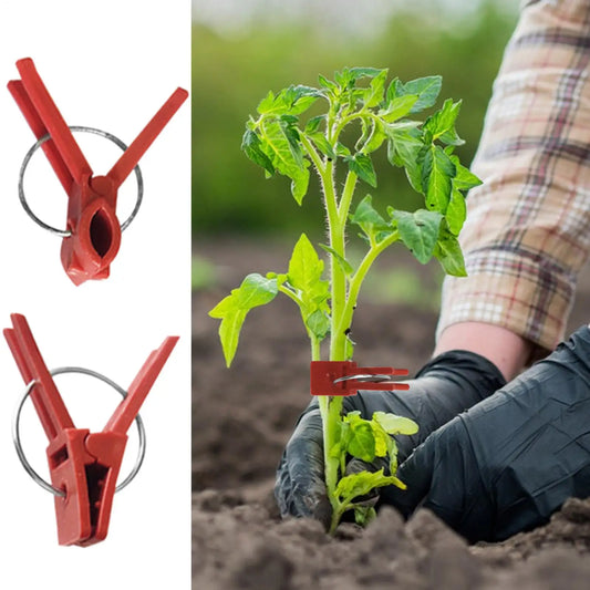 50-Pack Plant Grafting Clips | Vegetable Garden Grafting Tool Plant Grafting Clips Peaceful Pleasures Health and Wellness