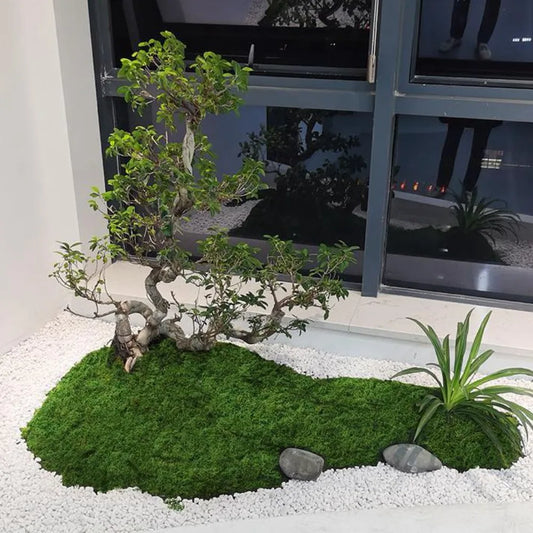 Artificial Filamentous Moss – DIY Miniature Landscape & Decor Artificial Moss Oasis Select