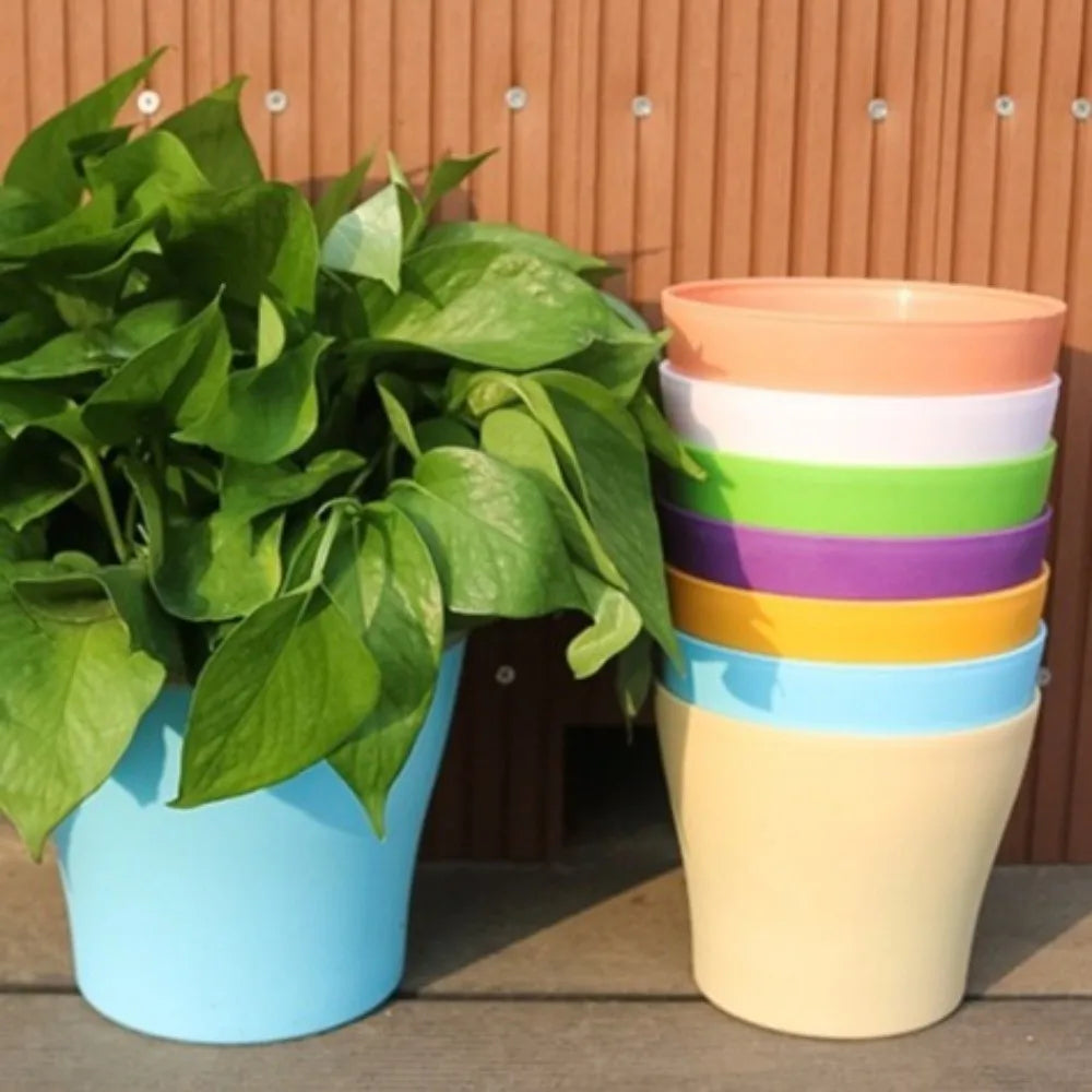 8-Pack Candy Color Round Plastic Plant Pots with Drainage Trays