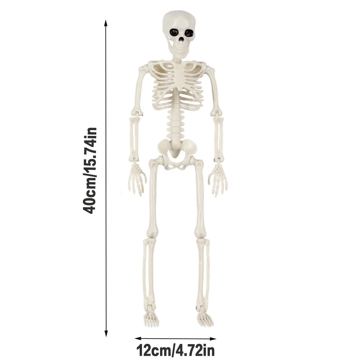 Halloween Life Size Skeleton Full Body 40cm Posable Halloween Skeleton Decor with Movable Joints for Haunted Houses Cemeteries Peaceful Pleasures Health and Wellness