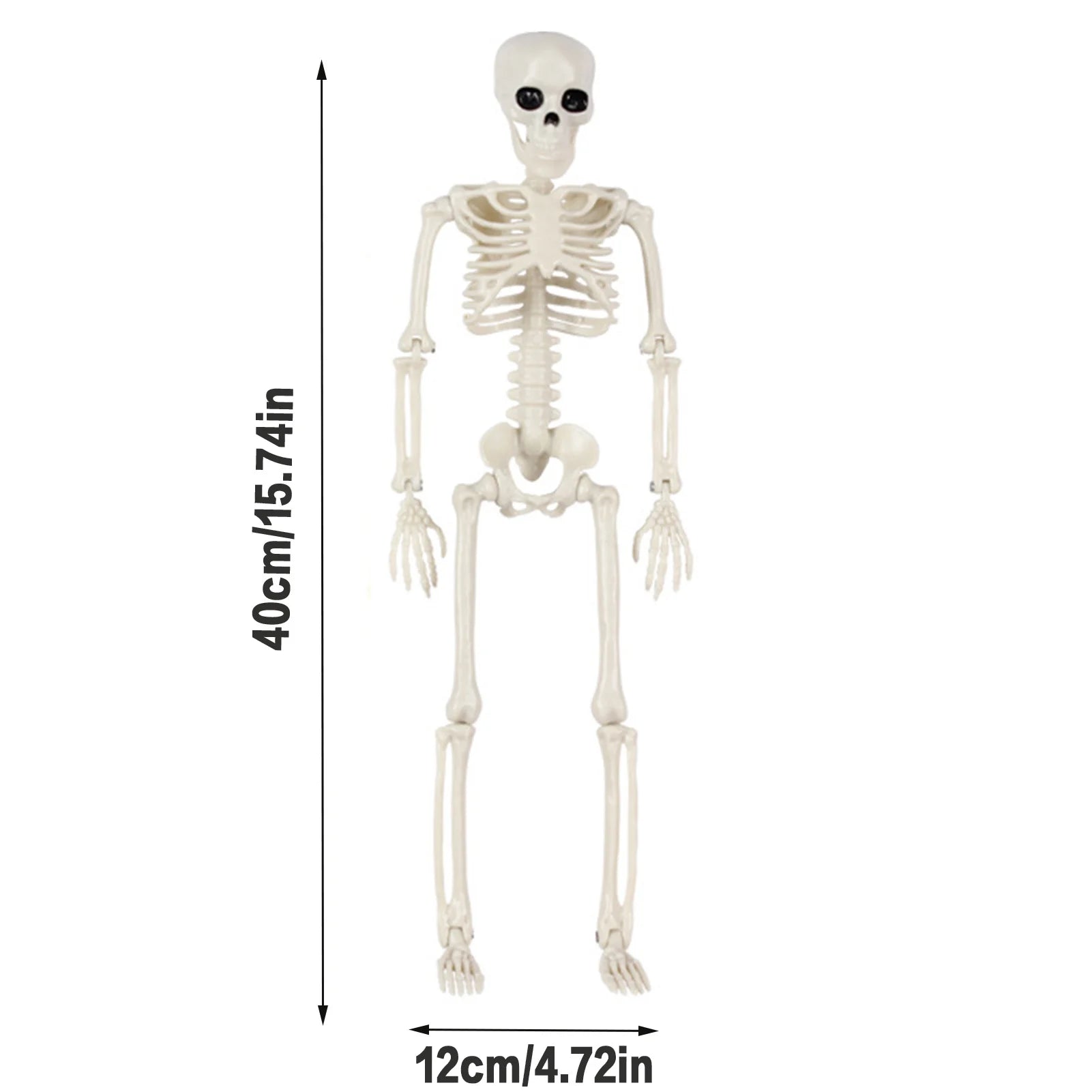 Halloween Life Size Skeleton Full Body 40cm Posable Halloween Skeleton Decor with Movable Joints for Haunted Houses Cemeteries Peaceful Pleasures Health and Wellness