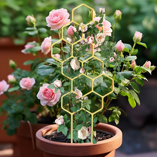 Rustproof Plastic Plant Trellis for Potted Vines & Flowers Plant Trellis Stake Oasis Select