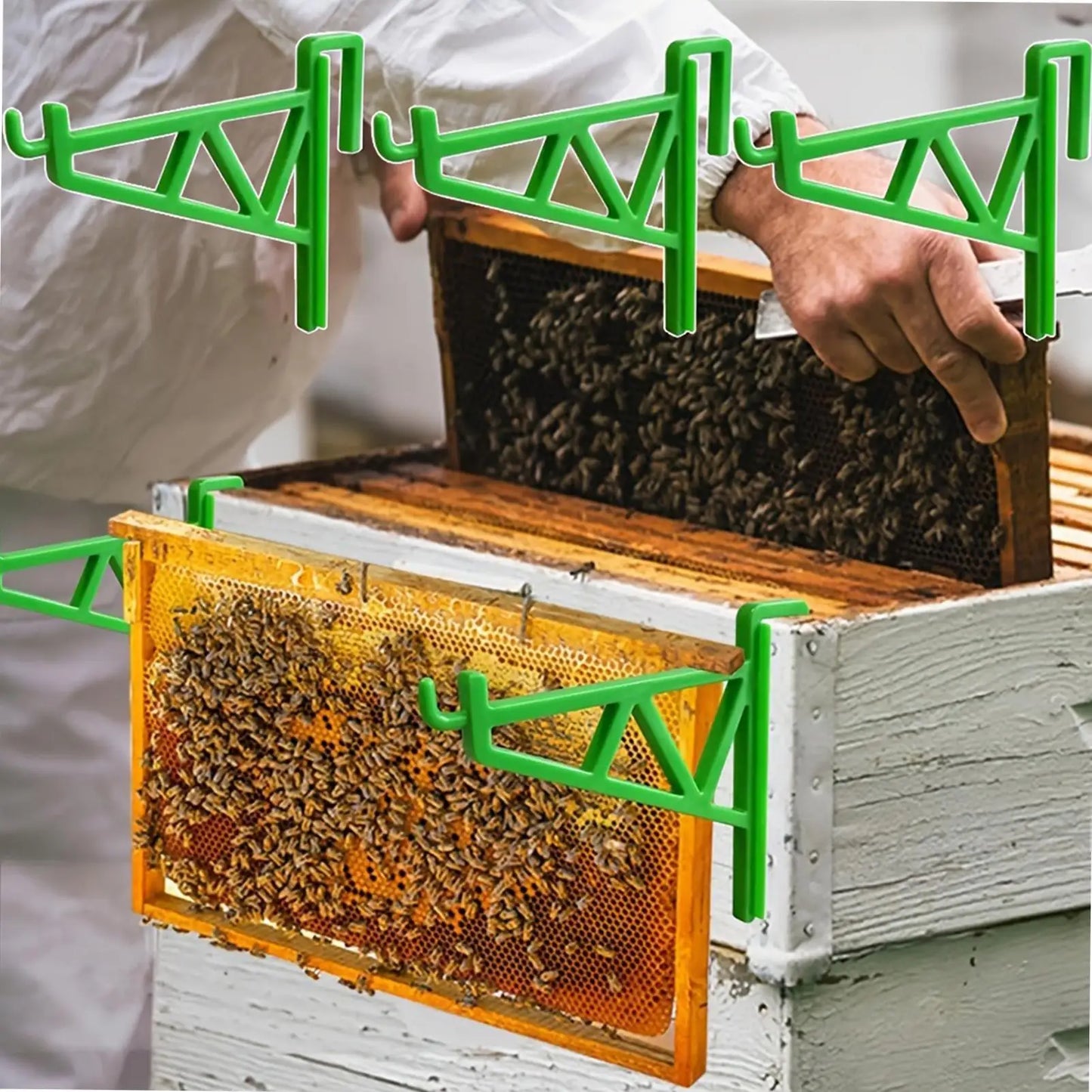 2-Pack Beehive Frame Holder Perch Stand | Heavy Duty Beekeeping