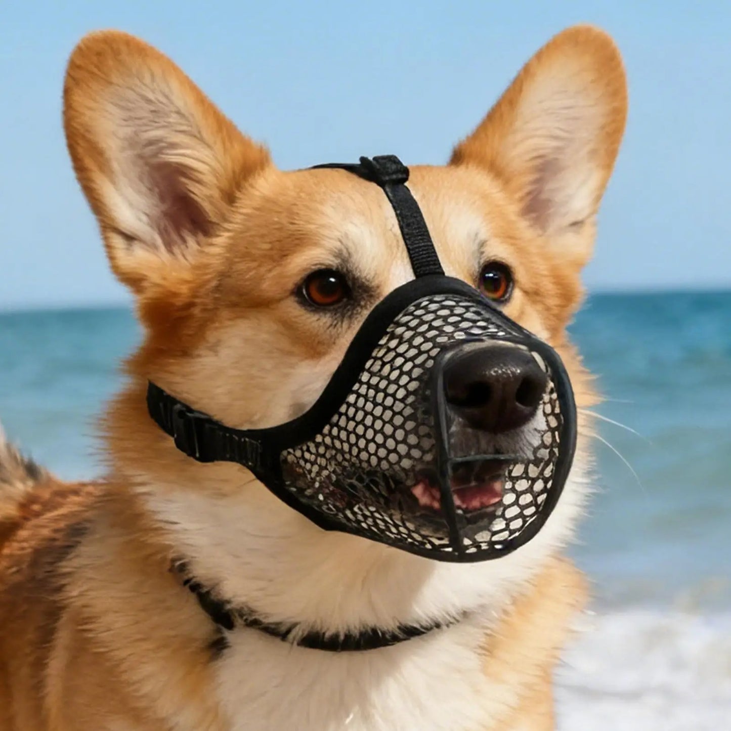 Breathable Mesh Dog Muzzle – Reflective, Adjustable S/M/L