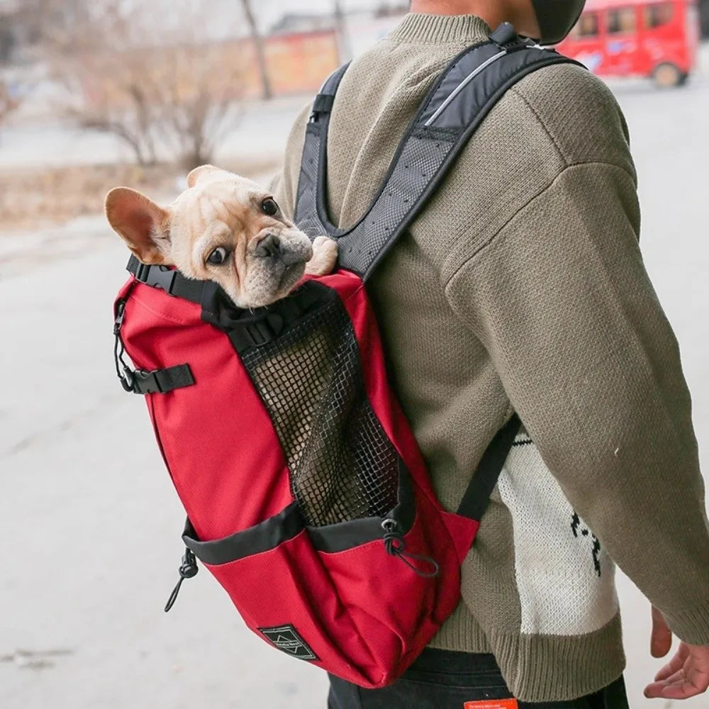 Breathable Mesh Dog Backpack Carrier | Adjustable, Washable S–XL