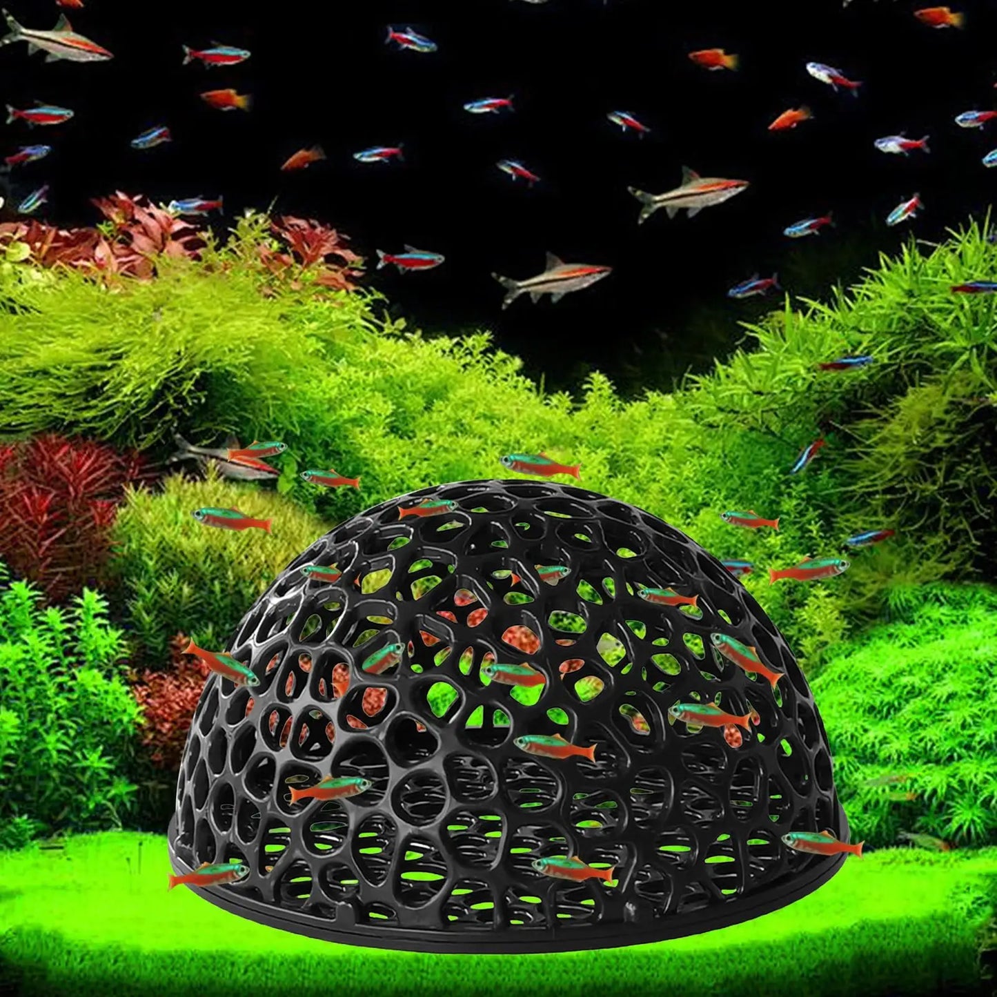 Shrimp Breeding Cave – Betta & Shrimp Aquarium Hideout