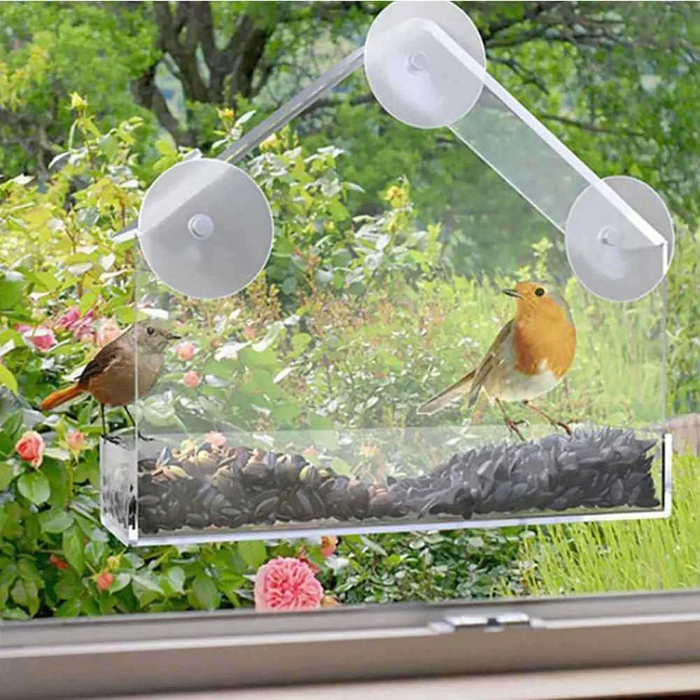 Acrylic Bird Feeder with Suction Cup for Wildlife Peaceful Pleasures Health and Wellness