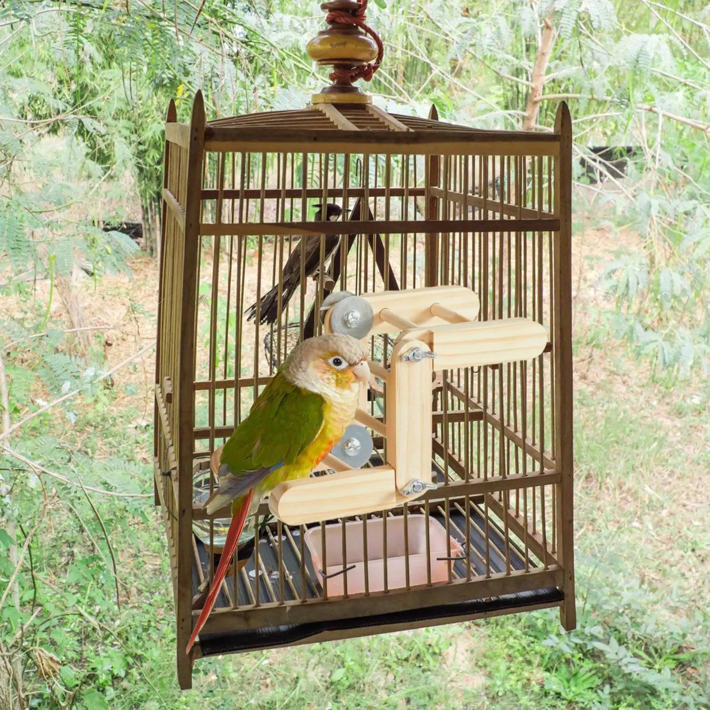Natural Wooden Bird Climbing Ladder | Parakeet & Conure Toy