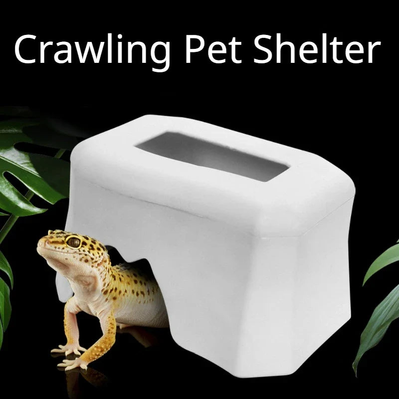 Reptile Water Bowl – Tortoise, Snake & Lizard Drinking Basin