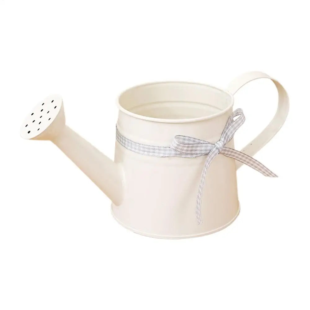 Mini Metal Watering Can – Decorative Indoor Plant Sprinkler 1L