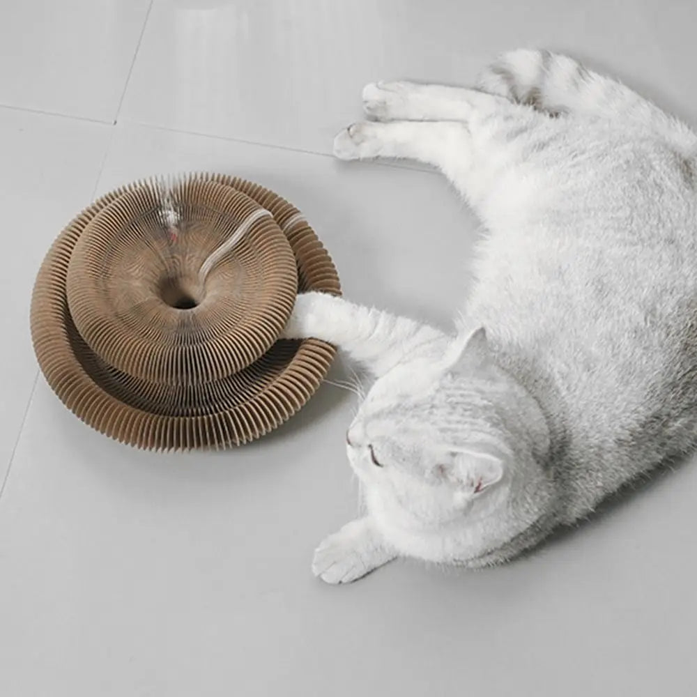 Durable Transformable Kitty Kurlz Cat Toy No Crumbs Resistant To Scratching Cat Scratching Board Wear-Resistant Ball Scratch Pad Peaceful Pleasures Health and Wellness