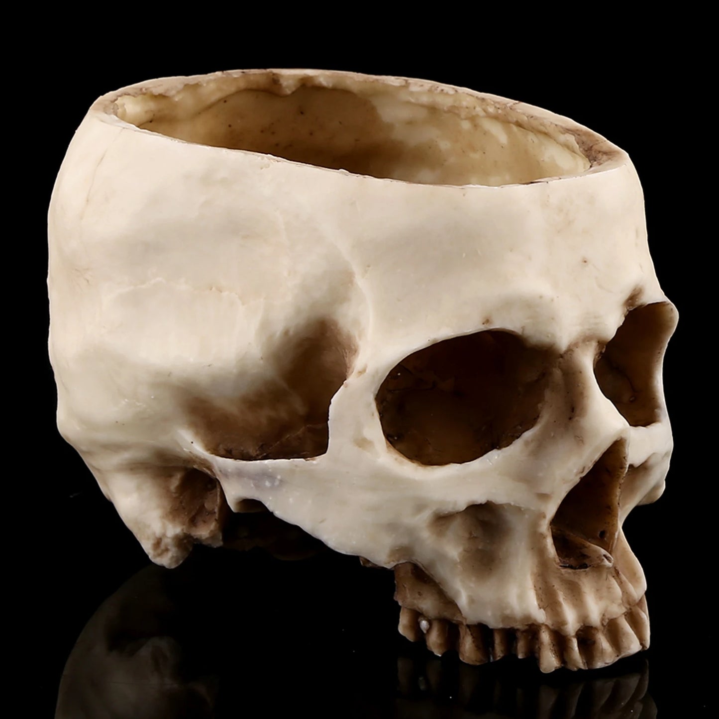 Resin Skull Head Flower Pot | Gothic Planter & Halloween Decor