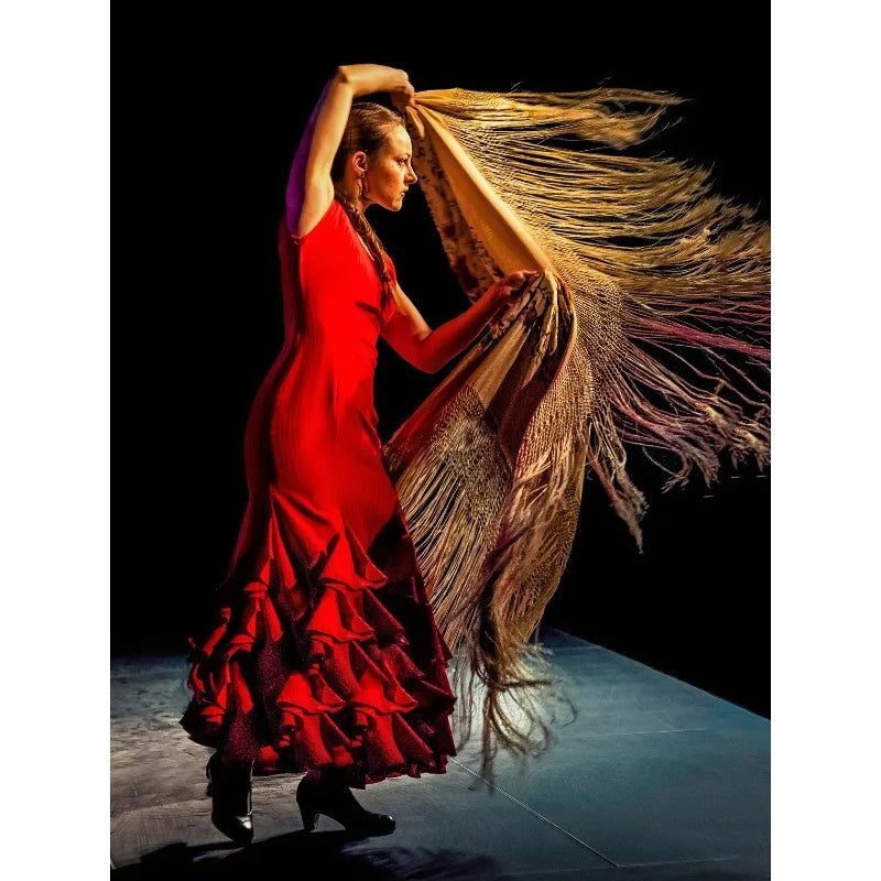 Flamenco Dancer Canvas Wall Art | Red Dress Spanish Gitana