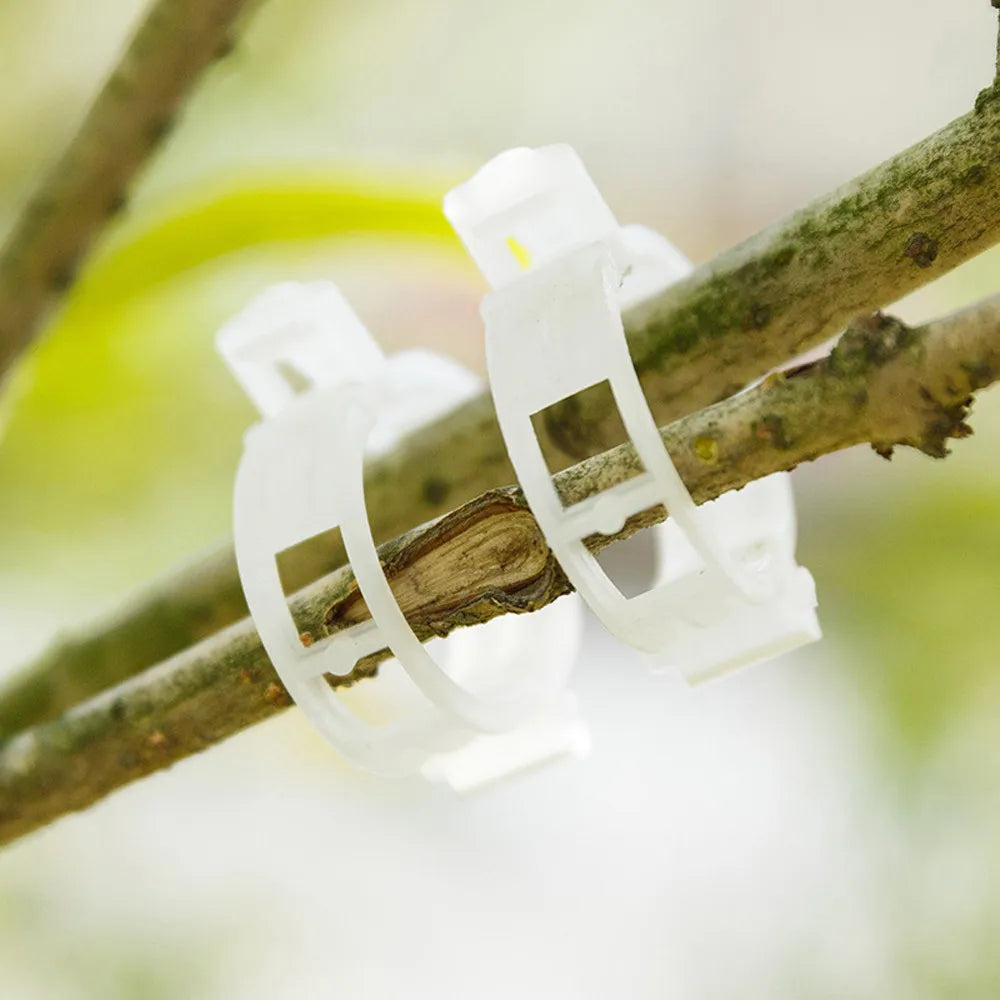 Plant Clips Supports Reusable Plastic Connects Fixing Vine Tomato Stem Grafting Vegetable Plants Orchard and Garden Tools 100PCS Peaceful Pleasures Health and Wellness Multicolor