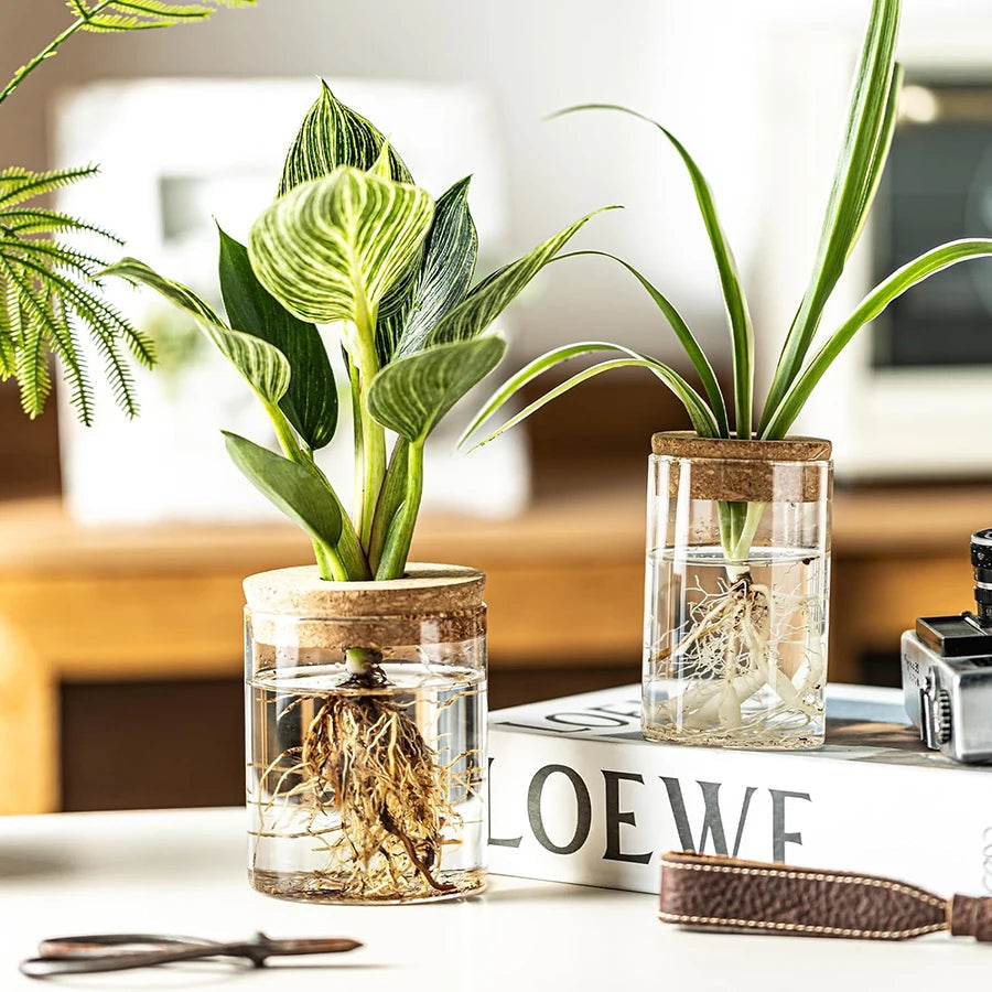 Plant Propagation Station – Hydroponic Acrylic Vase Planter Jars for Desk, Home Garden Decor & Gifts