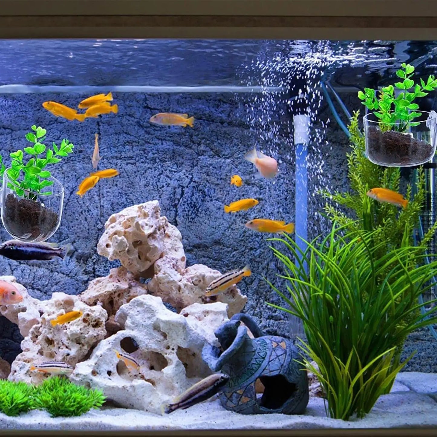 Clear Acrylic Aquarium Plant Pot with Suction Cup | Fish Tank