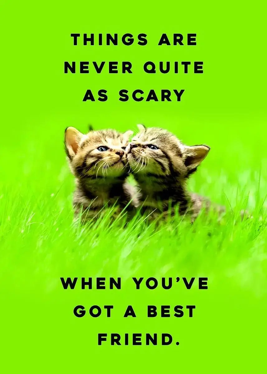 Cute Cat Yoga Canvas Wall Art | Hang In There Pet Poster