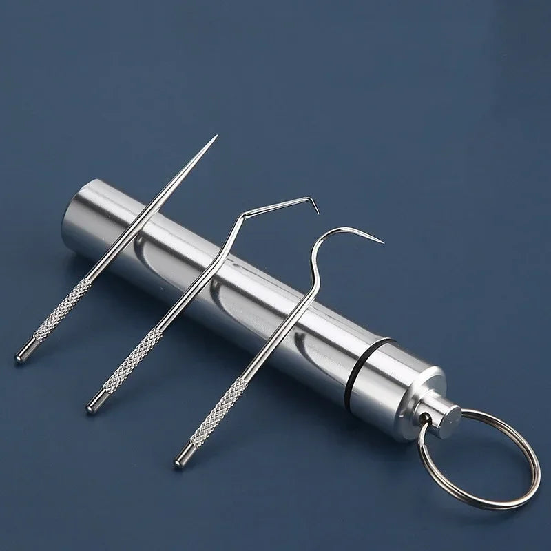 1Set Toothpick Set Metal Stainless Steel Oral Cleaning Tooth Flossing Portable Toothpick Floss Teeth Cleaner with Storage Tube Peaceful Pleasures Health and Wellness