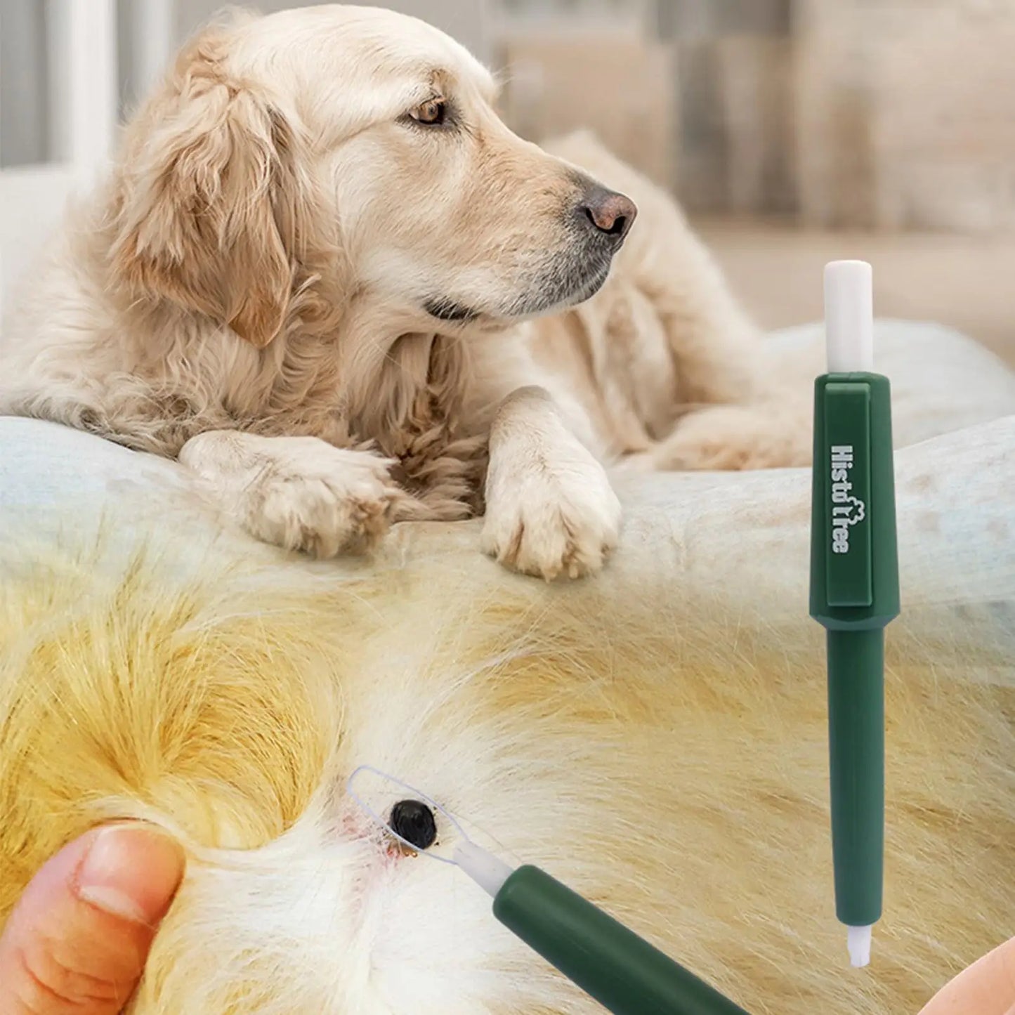 Tick Remover Pen for Pets & Humans | Waterproof, Portable