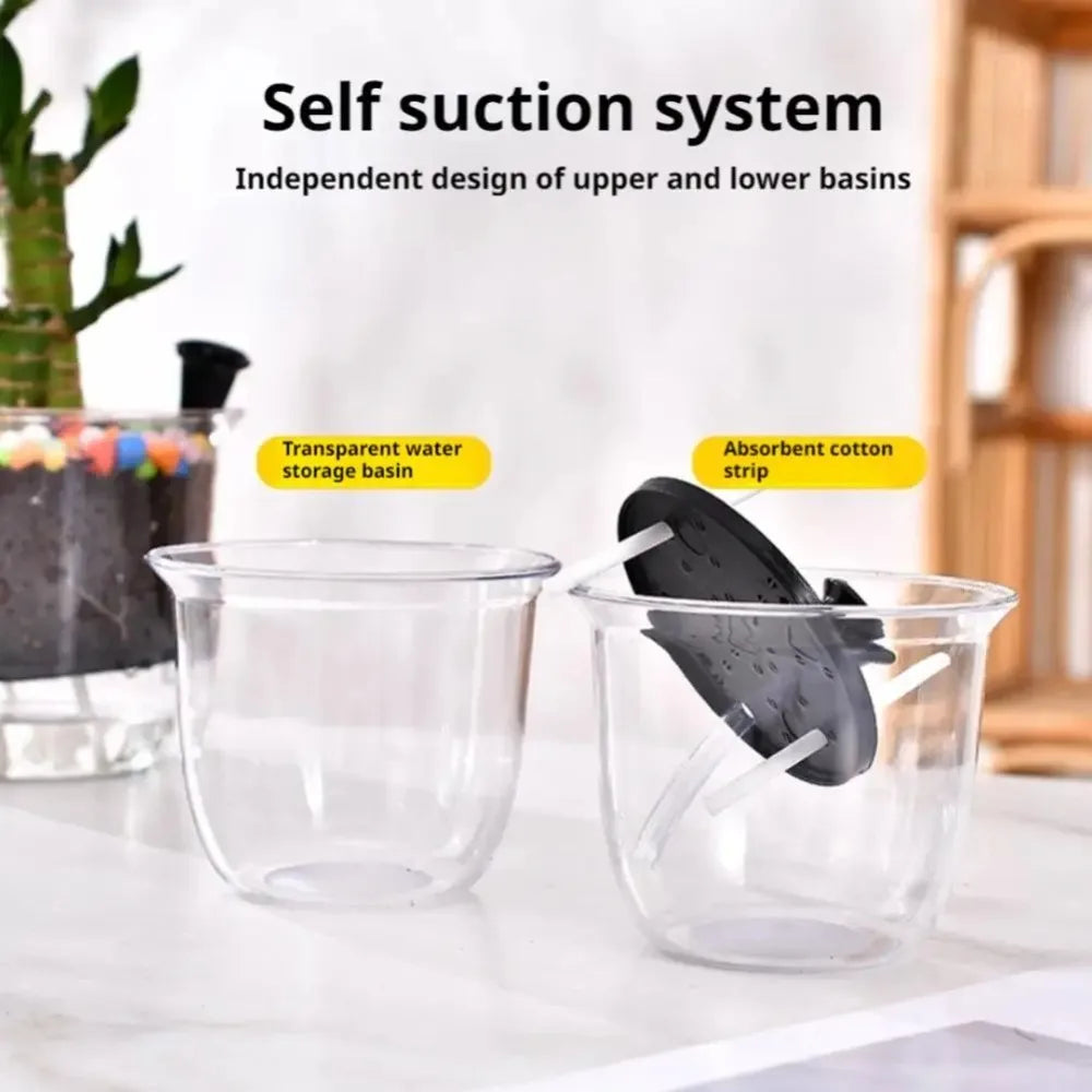 2-Pack Clear Self-Watering Pots with Deep Reservoir | Indoor Plants