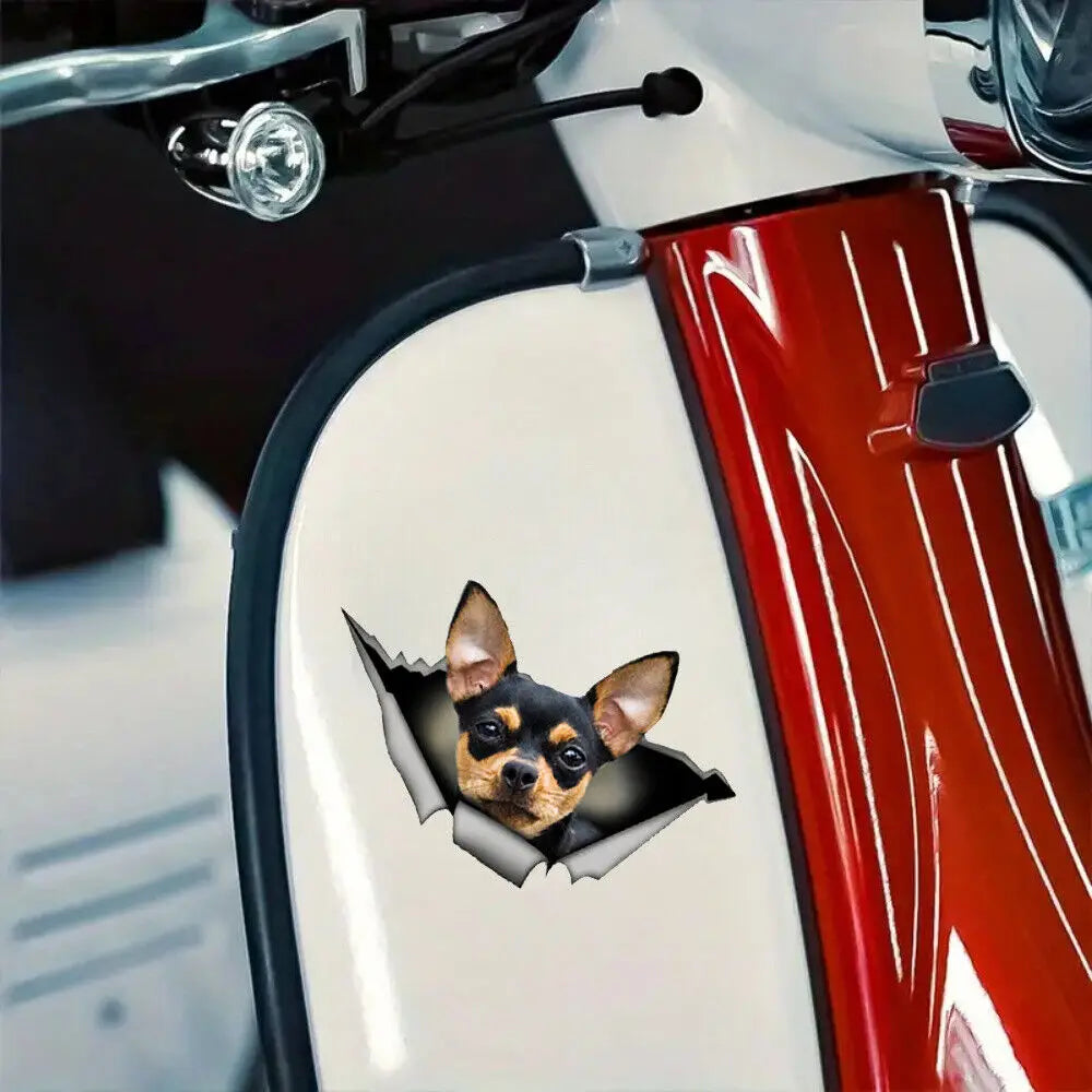 3Pcs 8inch*5.08inch Chihuahua Vinyl Sticker Decal Stickers Car truck Window Bumper Sticker Peaceful Pleasures Health and Wellness