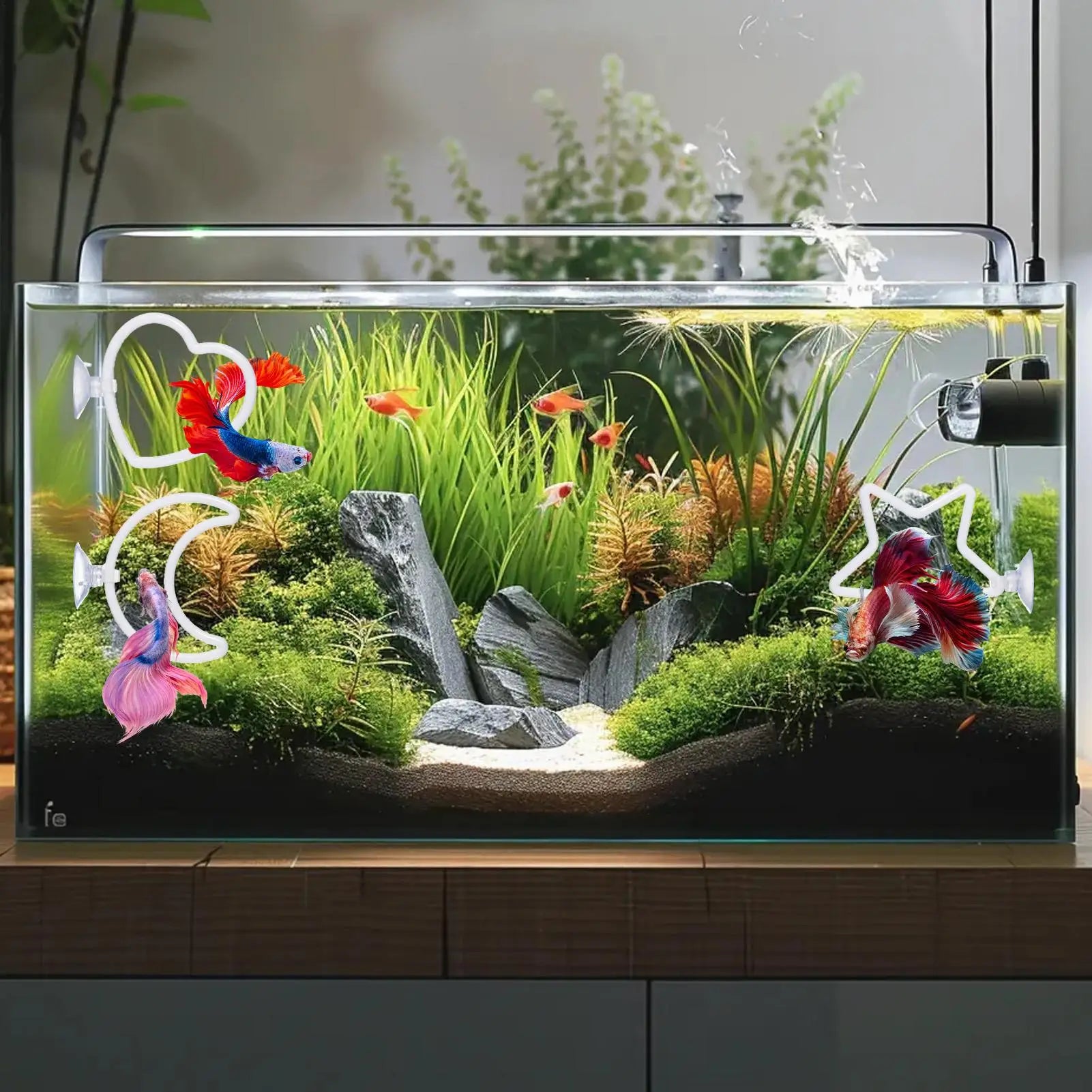 Betta Exercise Ring with Filter Balls 2PCS Interactive Enrichment Toy, Fish Play Training for Swimming Feeding, Aquarium Toy Peaceful Pleasures Health and Wellness