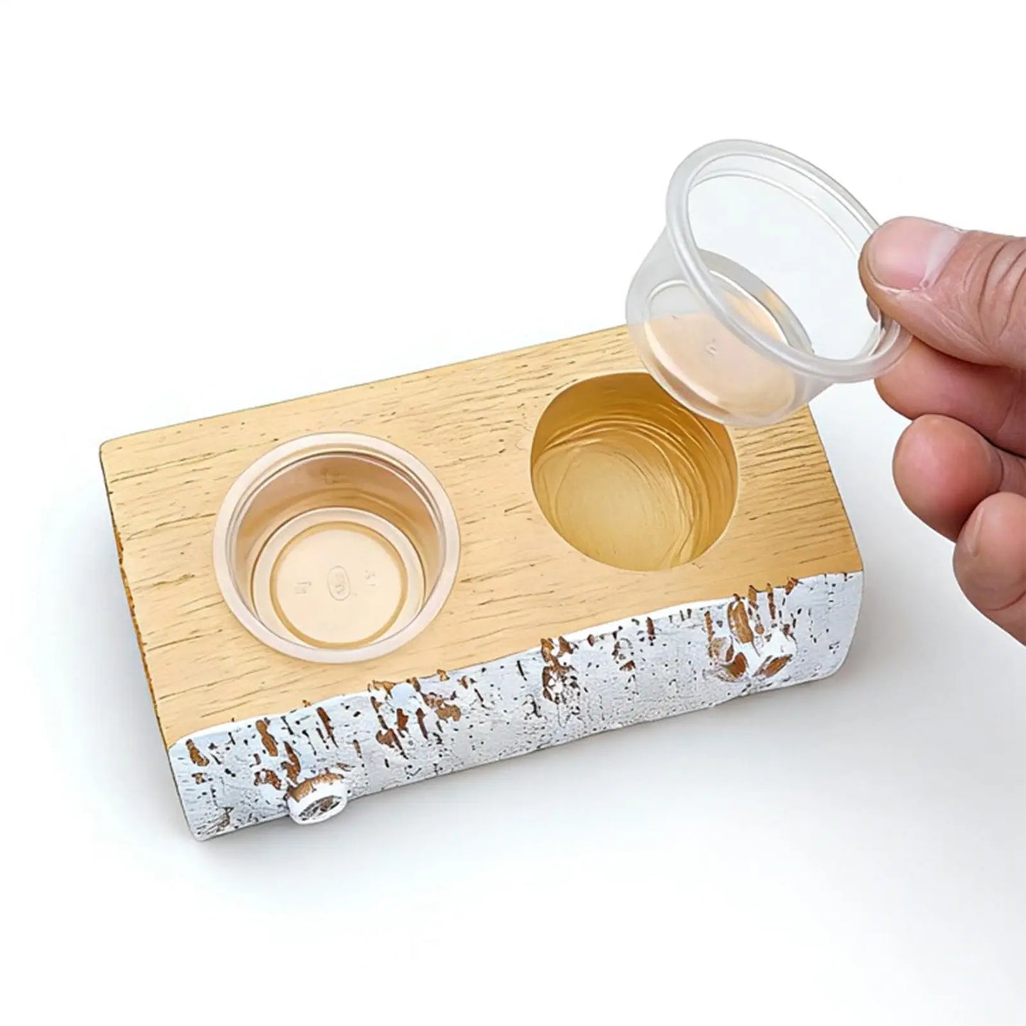 Magnetic Gecko Feeding Ledge with 10 Cups | Reptile Feeder Reptile Feeding Ledge Peaceful Pleasures Health and Wellness