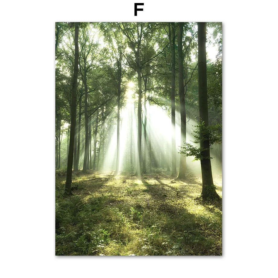 Mountain Waterfall Canvas Wall Art Poster | Nature Decor Print Canvas Wall Art Peaceful Pleasures Health and Wellness T80493-06 30x40cm Unframed