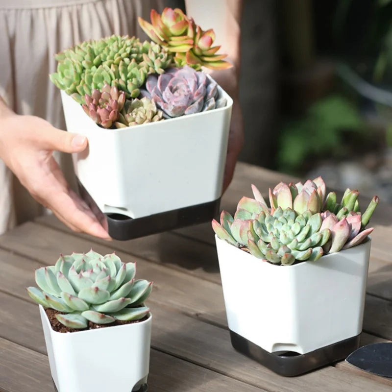 5-Pack Self Watering Mini Plant Pots with Water Reservoir