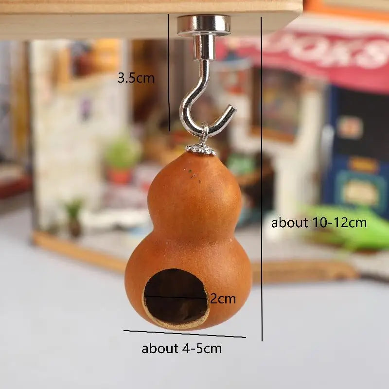 Natural Gourd Jumping Spider House | Magnetic Hanging Hideout