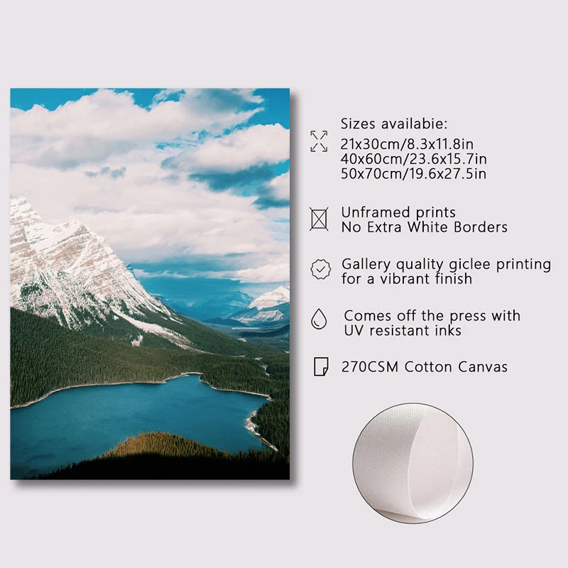 Dark Green Forest Foggy Mountain Canvas Wall Art | Nature Print