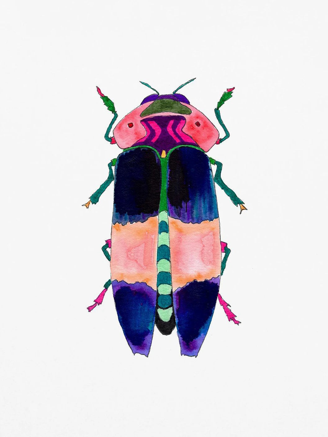 Watercolor Insect Canvas Print | Nursery & Kids Room Wall Art