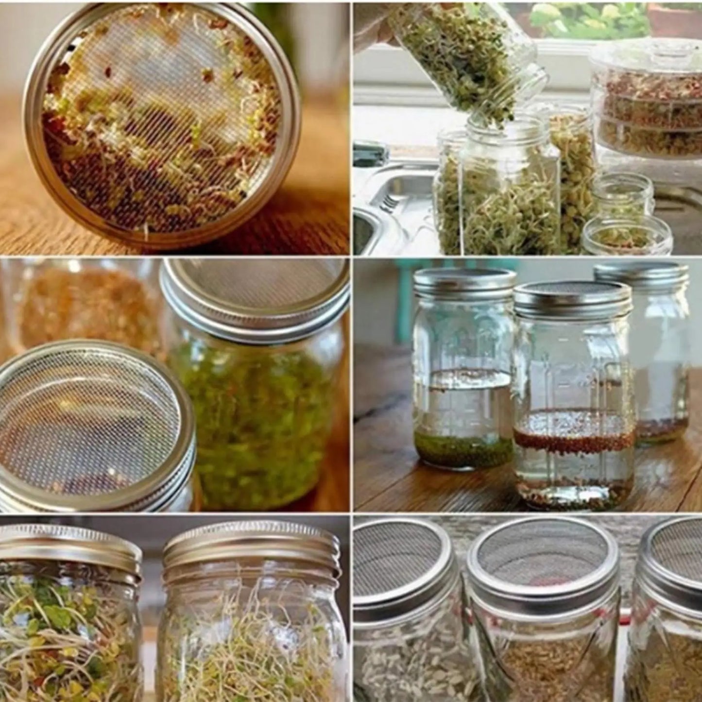 Sprouting Jar Kit Wide Mouth with Blackout Sleeve and Stand Sprouting Jars with Screen Lids for Home Kitchen Living Room Balcony Peaceful Pleasures Health and Wellness