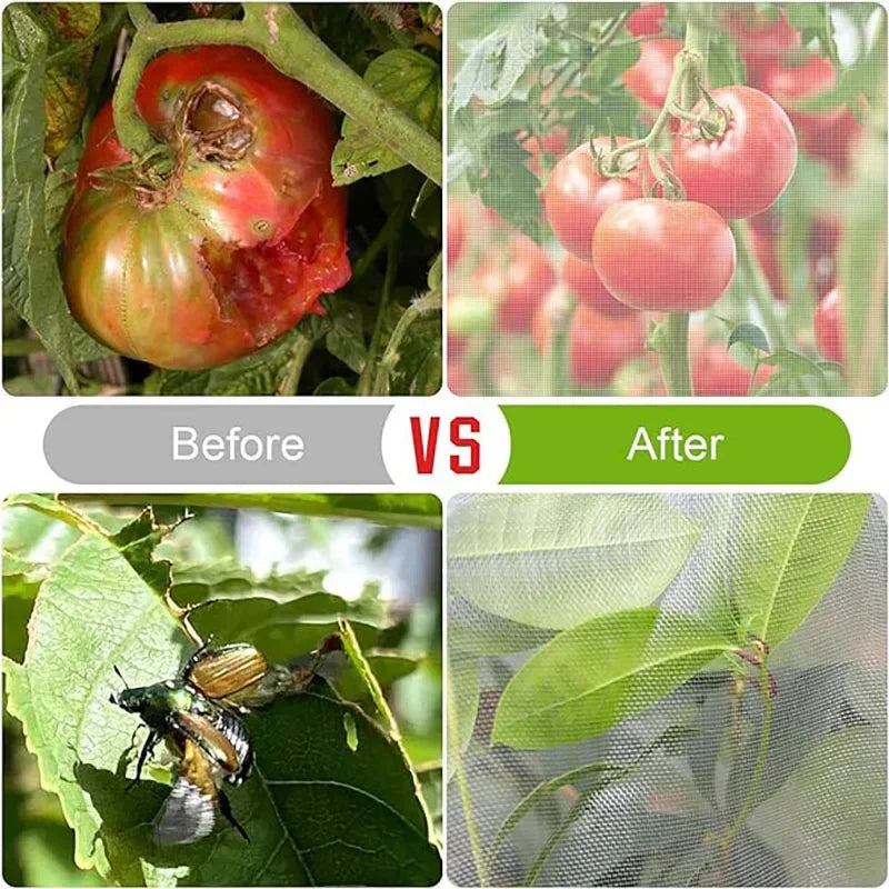 Plant Mesh Bags – Anti-Bird & Pest Protection Net for Garden