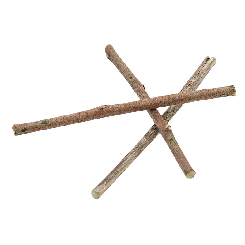 Miniature Wooden Sticks 20pcs for Fairy Garden & Plant Support DIY Natural Craft Supplies for Terrarium Small Birch Dowels Peaceful Pleasures Health and Wellness