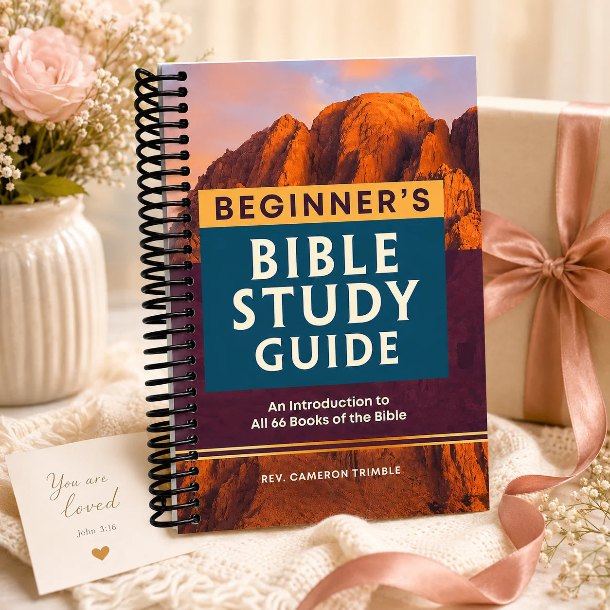Beginner S Bible Study Guide Mountain Cover Spiral Scripture Journal