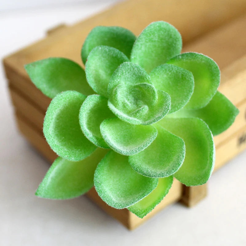 Artifical Plastic Succulent Plant Realistic Textured Cactus Mini Faux