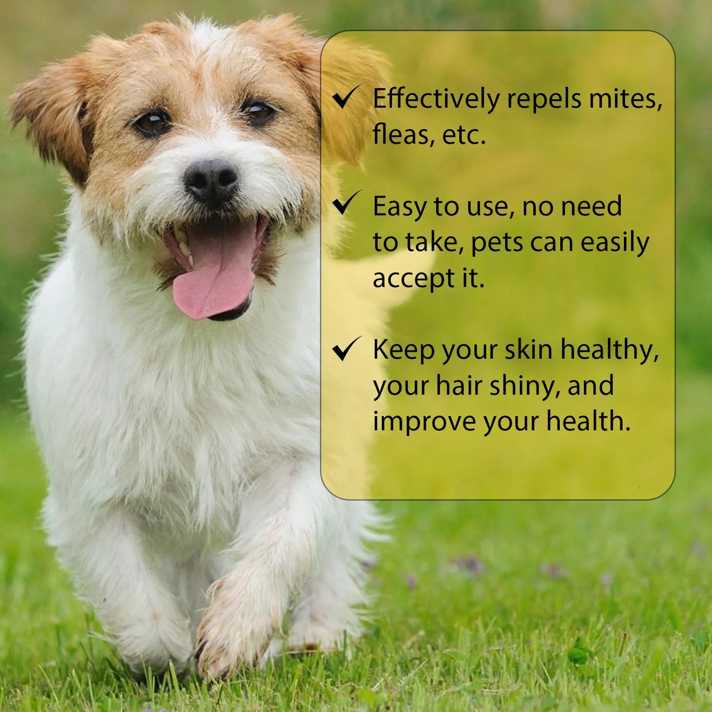 Yegbong Flea Tick Mite Repellent Drops for Dogs & Cats